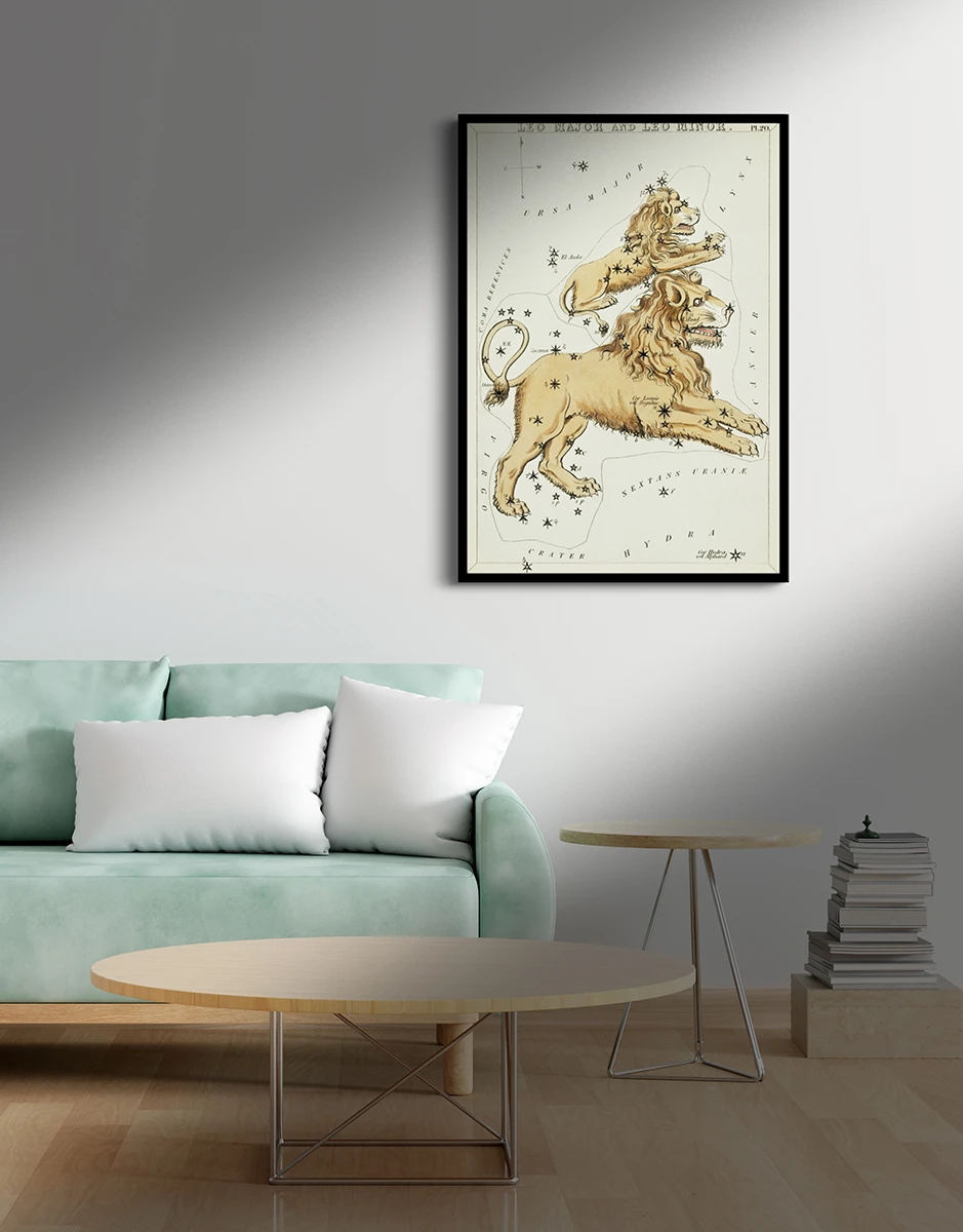 Բելգիական առյուծ