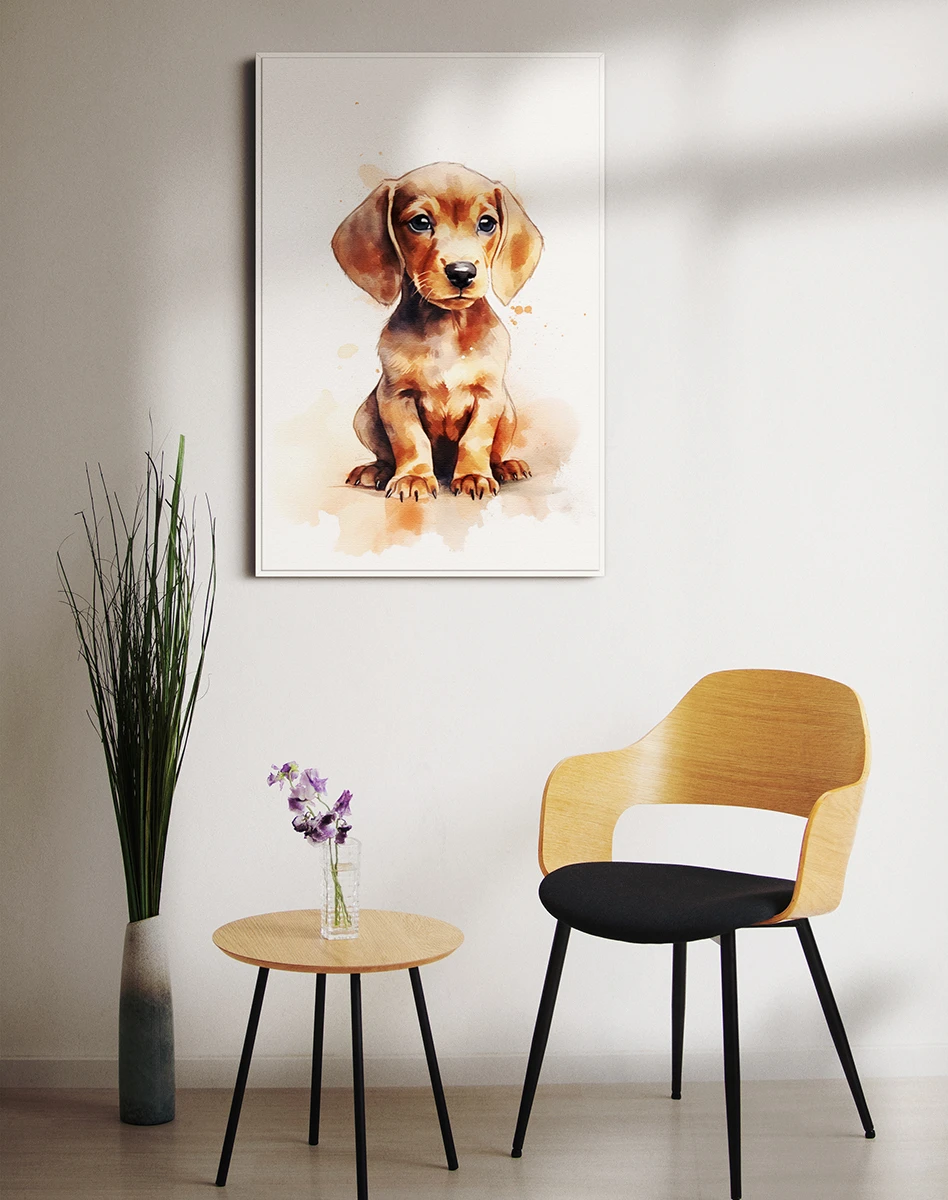 Շուն/Դաքսհունդ