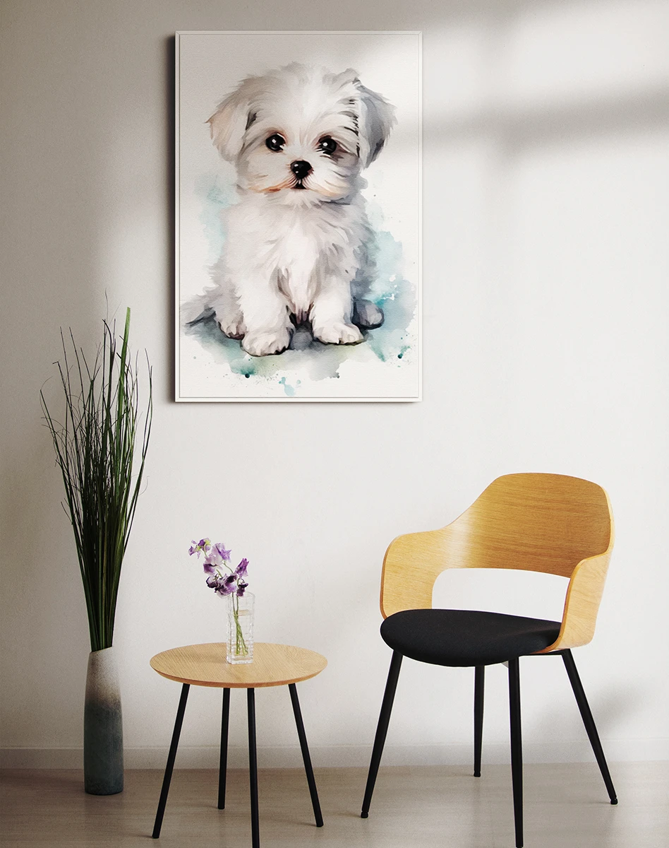 Շուն/Մալթական բոլոնկա