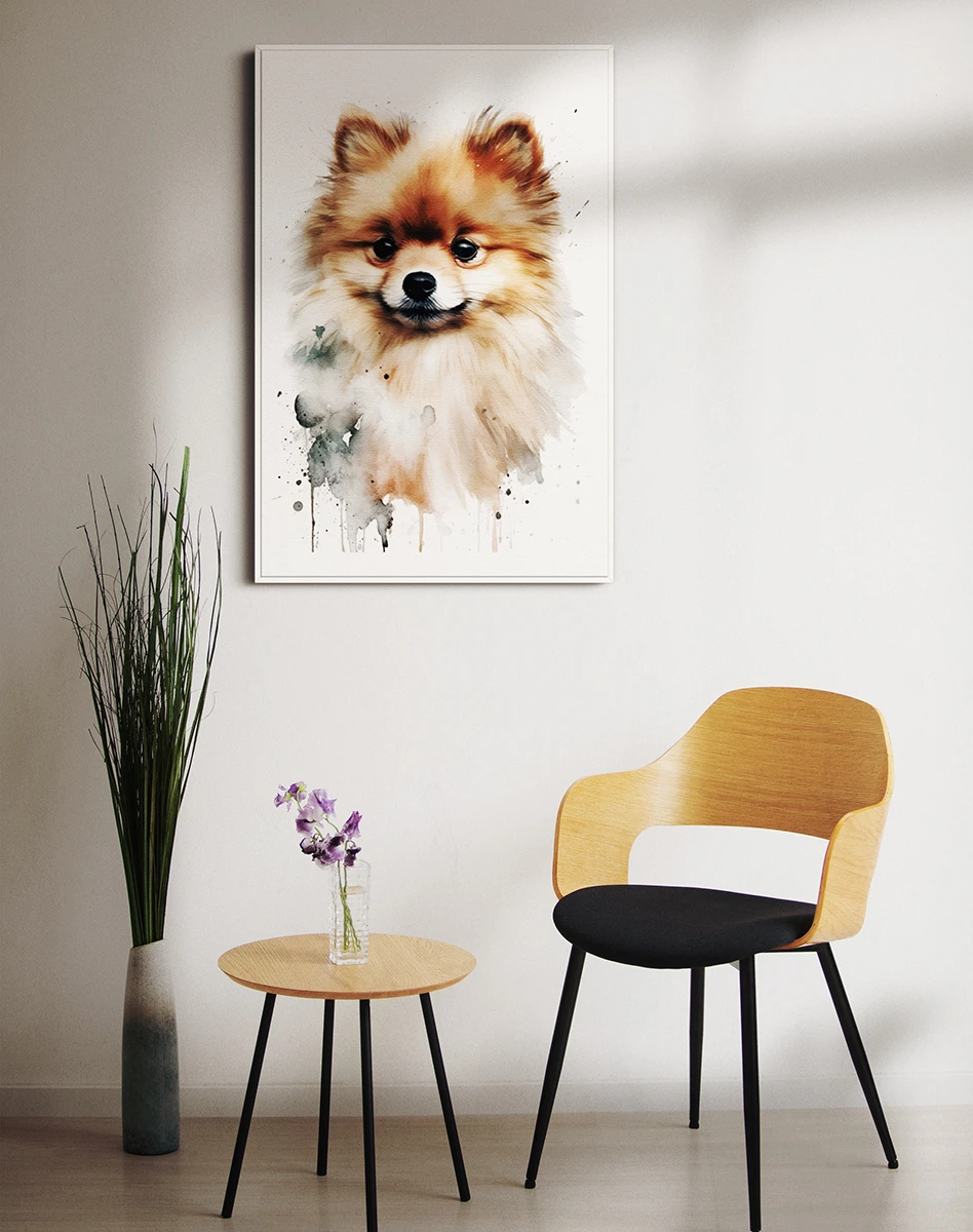 Շուն/Պոմերանական շպից