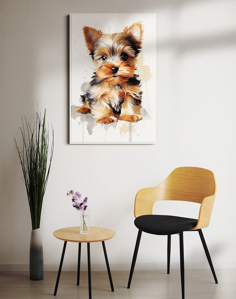 Շուն/Յորքշիր Թերիեր