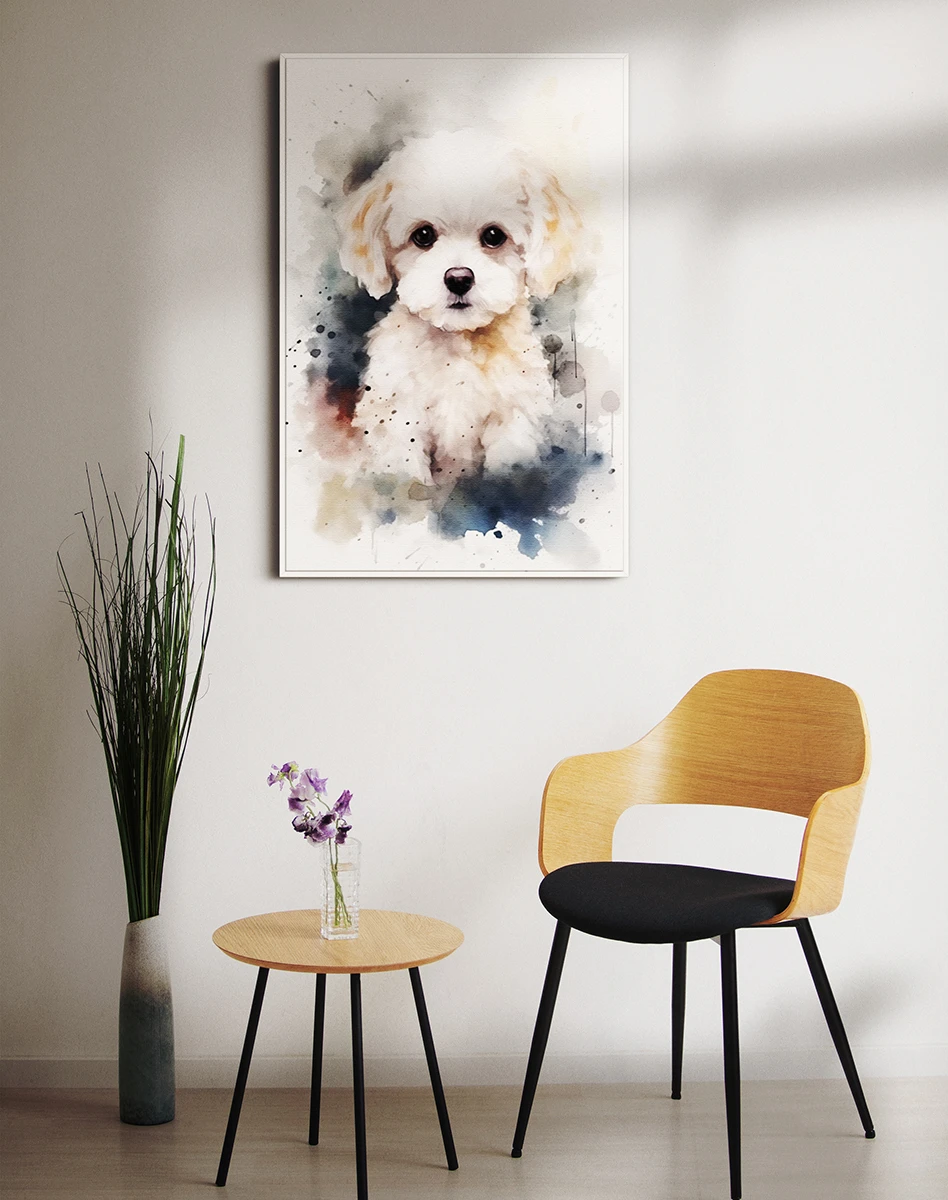 Շուն/Բիշոն Ֆրիզե