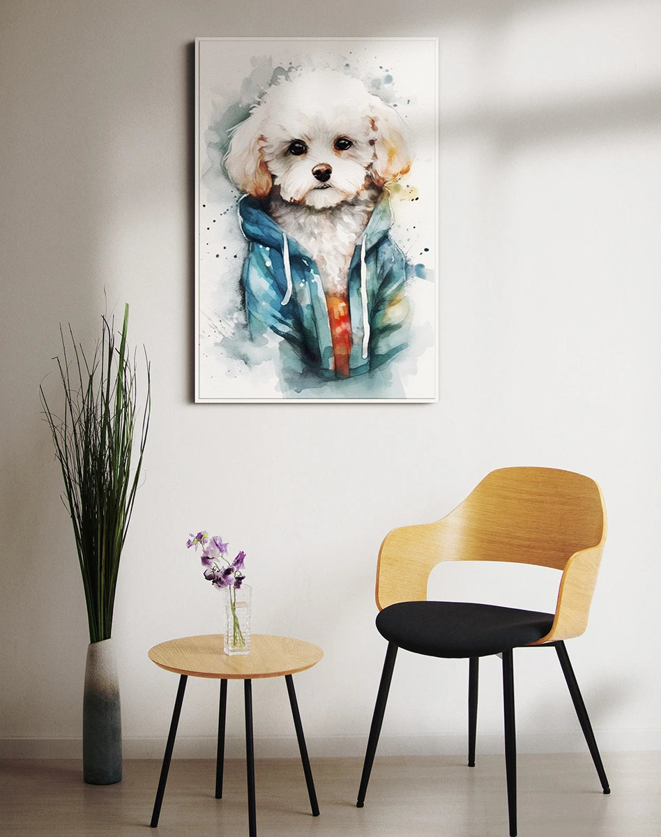 Շուն/Բիշոն Ֆրիզե