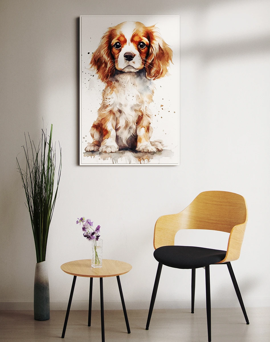 Շուն/Կավալեր Կինգ Չարլզ սպանիել